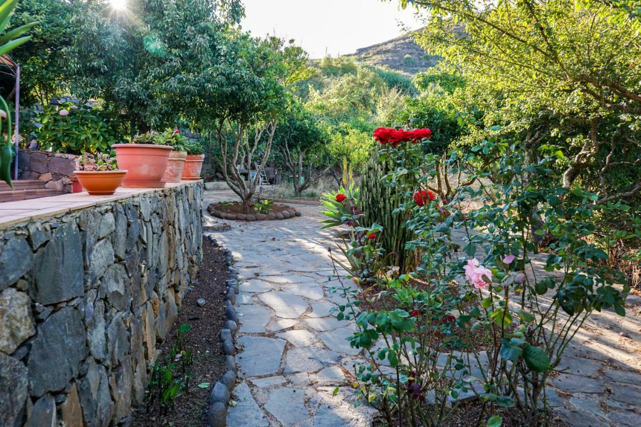 Vila La Casa Del Campo Vega de San Mateo Exteriér fotografie