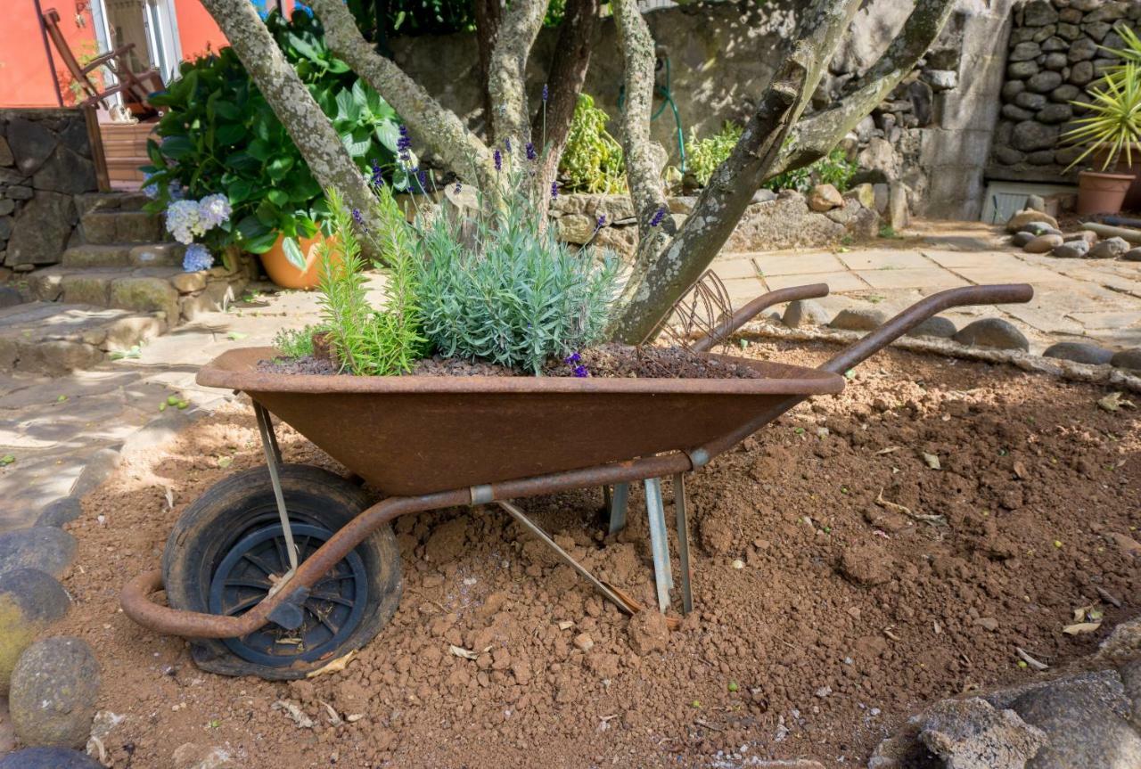 Vila La Casa Del Campo Vega de San Mateo Exteriér fotografie